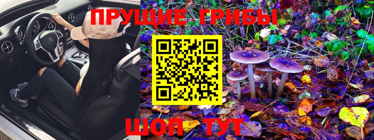 Псилоцибиновые грибы MAGIC MUSHROOMS Камышлов