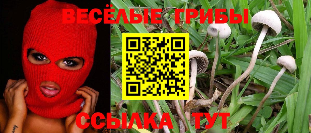 Галлюциногенные грибы Magic Shrooms  Вход с VPN  Камышлов 